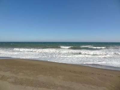 14 soverom Villa til salgs i Golden Mile med svømmebasseng garasje - € 18 000 000 (Ref: 7989176)