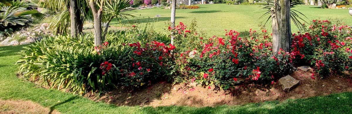 8 sypialnia Willa na sprzedaż w Guadalmina z basenem garażem - 6 000 000 € (Ref: 8441835)