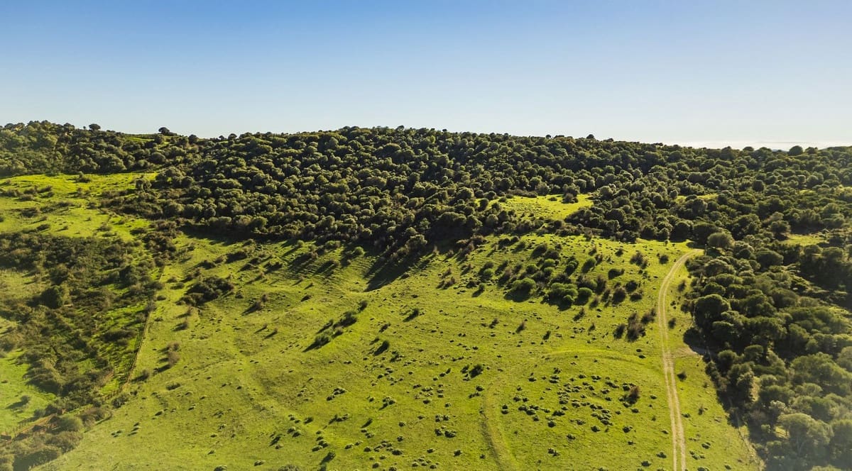 7 soveværelse Finca/Landehus til salg i San Martin del Tesorillo med swimmingpool garage - € 5.500.000 (Ref: 8441918)