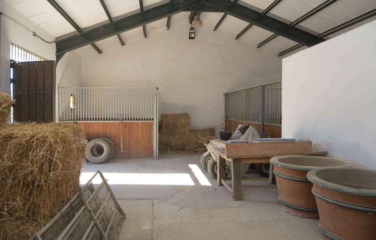 7 soveværelse Finca/Landehus til salg i San Martin del Tesorillo med swimmingpool garage - € 5.500.000 (Ref: 8441918)