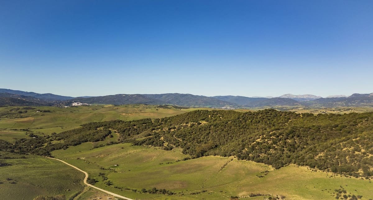 7 soveværelse Finca/Landehus til salg i San Martin del Tesorillo med swimmingpool garage - € 5.500.000 (Ref: 8441918)