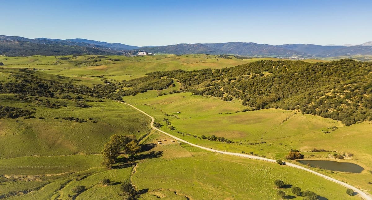 7 soveværelse Finca/Landehus til salg i San Martin del Tesorillo med swimmingpool garage - € 5.500.000 (Ref: 8441918)