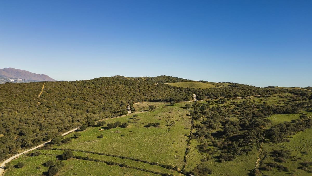 7 soveværelse Finca/Landehus til salg i San Martin del Tesorillo med swimmingpool garage - € 5.500.000 (Ref: 8441918)