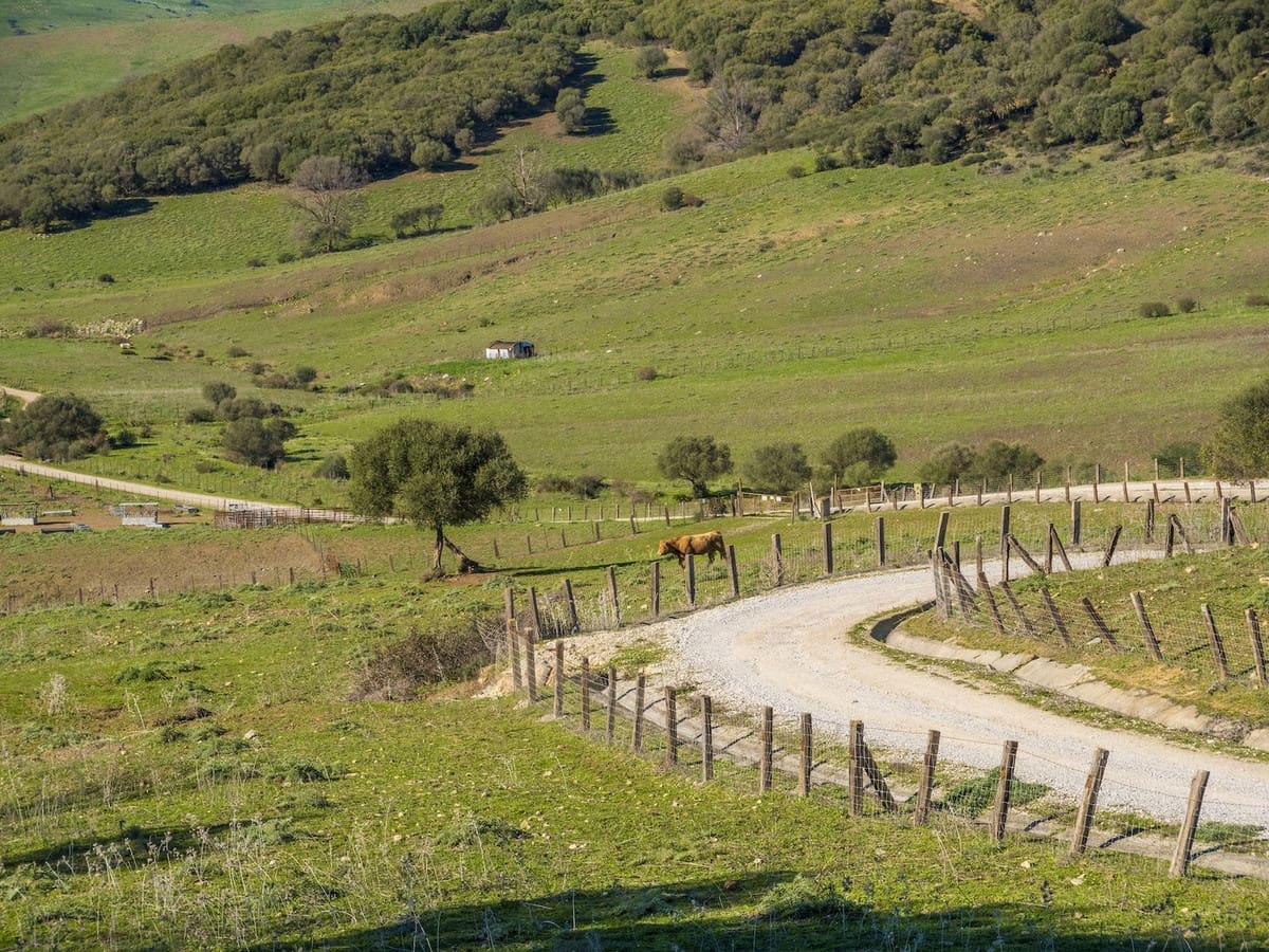 7 soveværelse Finca/Landehus til salg i San Martin del Tesorillo med swimmingpool garage - € 5.500.000 (Ref: 8441918)