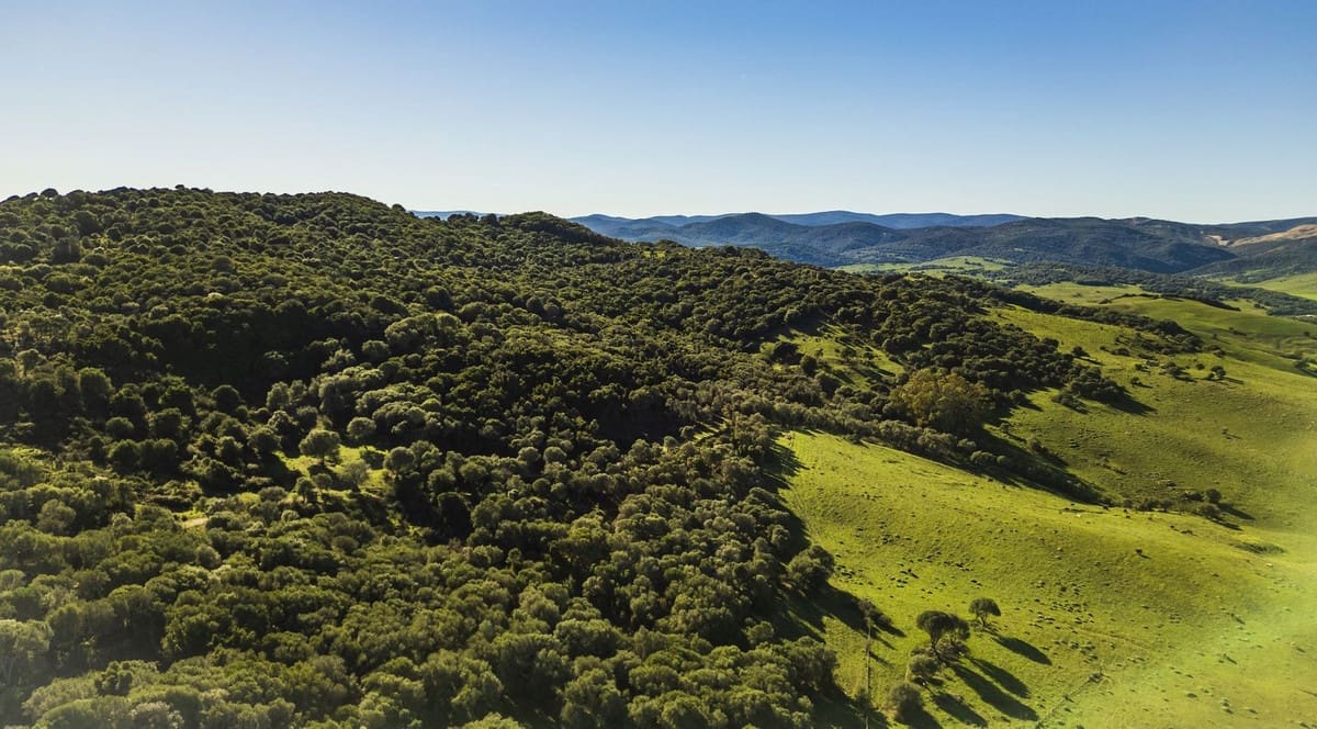 7 soveværelse Finca/Landehus til salg i San Martin del Tesorillo med swimmingpool garage - € 5.500.000 (Ref: 8441918)