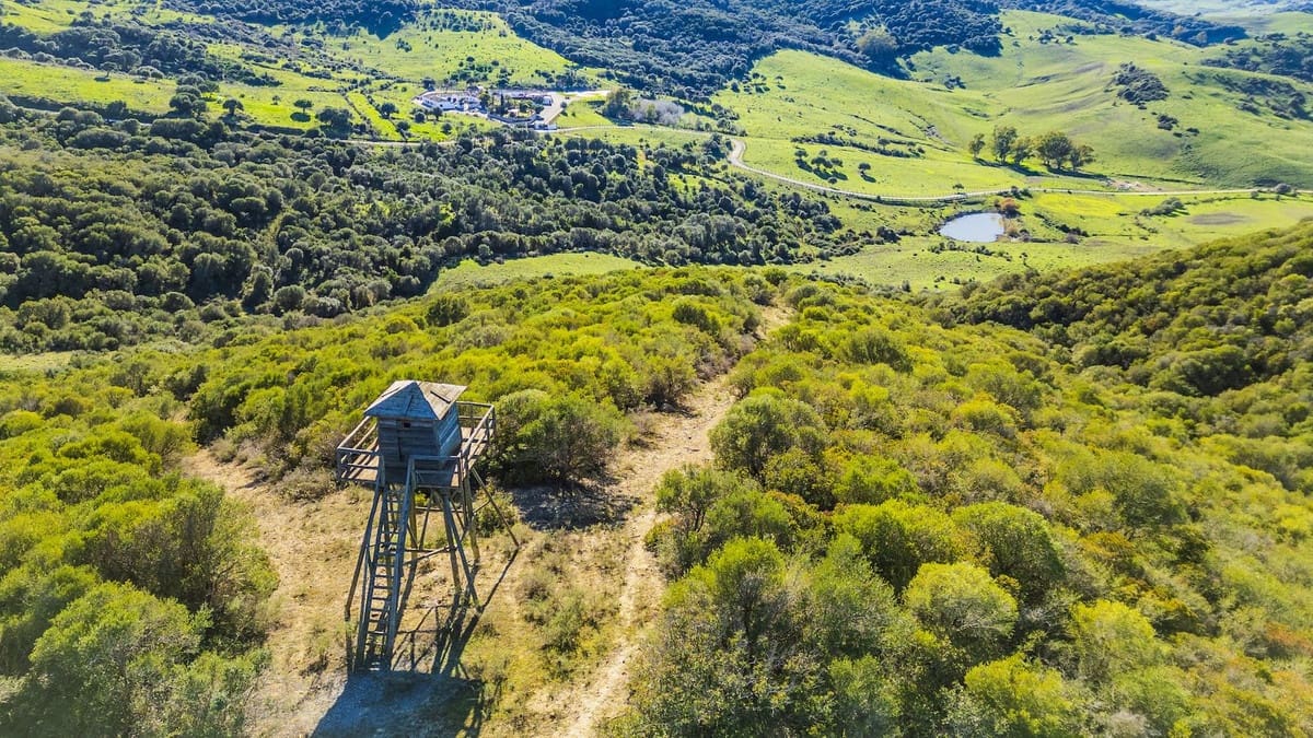 7 soveværelse Finca/Landehus til salg i San Martin del Tesorillo med swimmingpool garage - € 5.500.000 (Ref: 8441918)