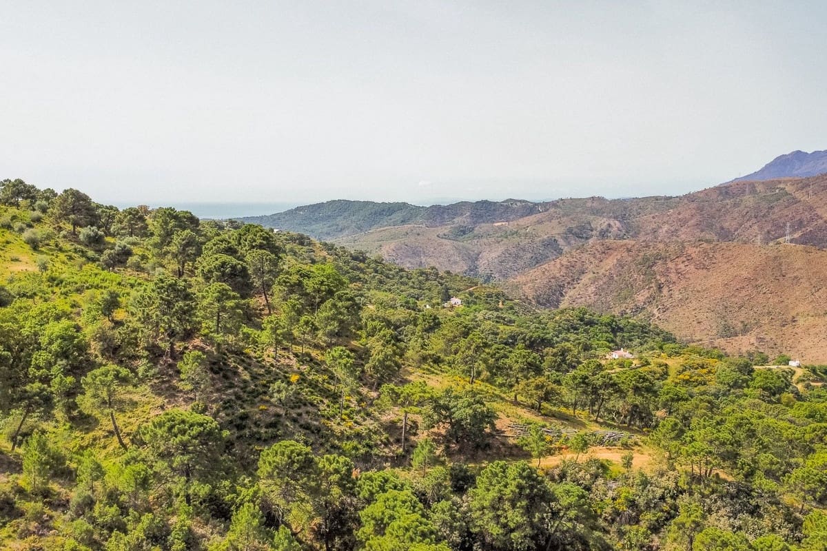 Terreno Non Edificato in vendita in Benahavis - 3.900.000 € (Rif: 8445500)