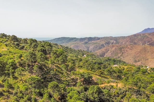 Terre non Aménagée à vendre à Benahavís pueblo, Benahavís - 3 900 000 € (Ref: 8445500)