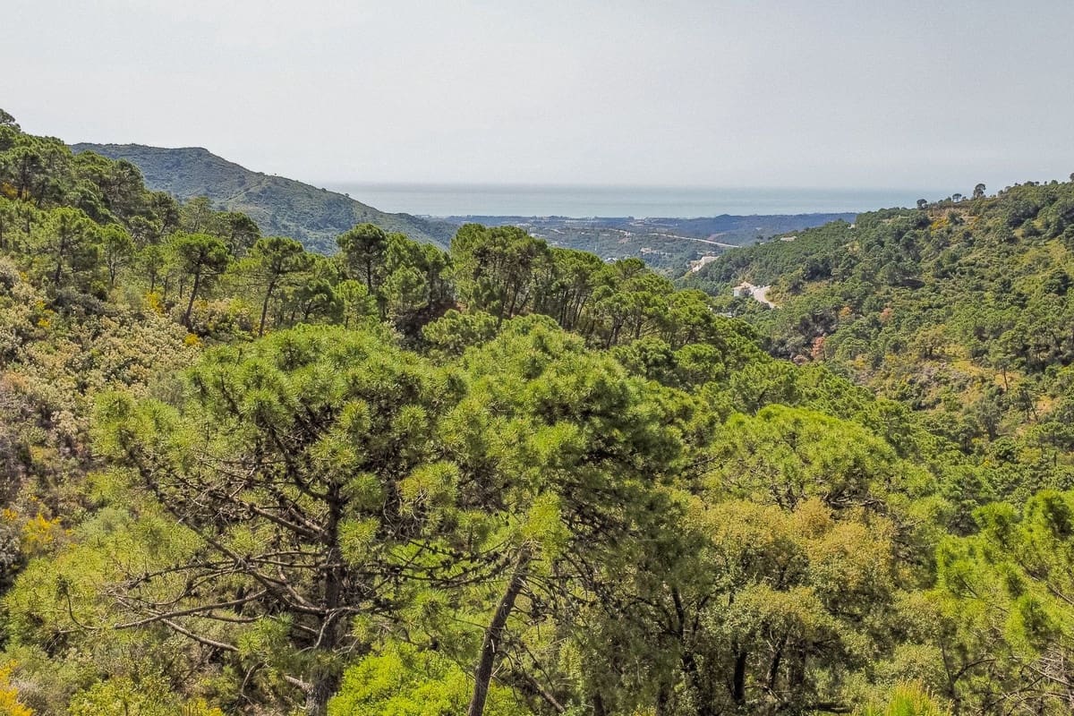 Terreno Non Edificato in vendita in Benahavis - 3.900.000 € (Rif: 8445500)