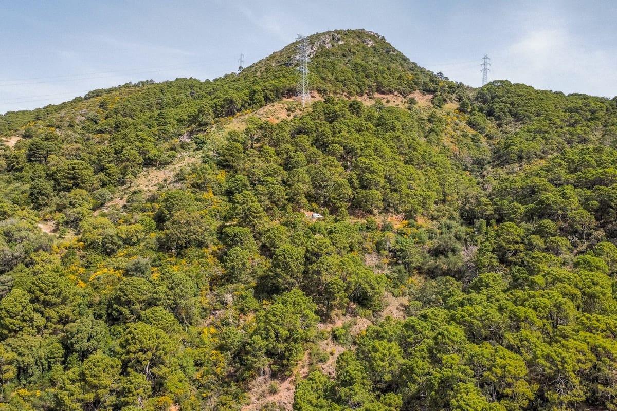 Terreno Non Edificato in vendita in Benahavis - 3.900.000 € (Rif: 8445500)