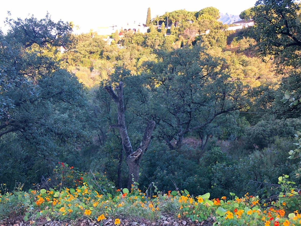 Grunde uden byggetilladelser til salg i Elviria - € 6.500.000 (Ref: 8445531)