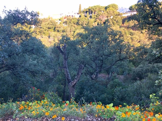 Undeveloped Land for sale in Elviria, Marbella - € 6,500,000 (Ref: 8445531)