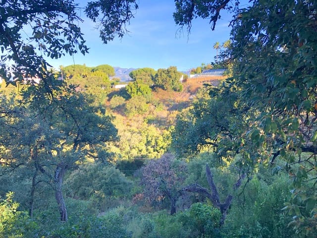 Undeveloped Land for sale in Elviria, Marbella - € 6,500,000 (Ref: 8445531)