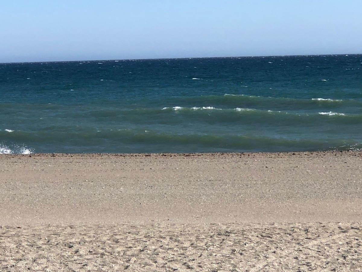 Grunde uden byggetilladelser til salg i Guadalmina - € 17.000.000 (Ref: 8445578)