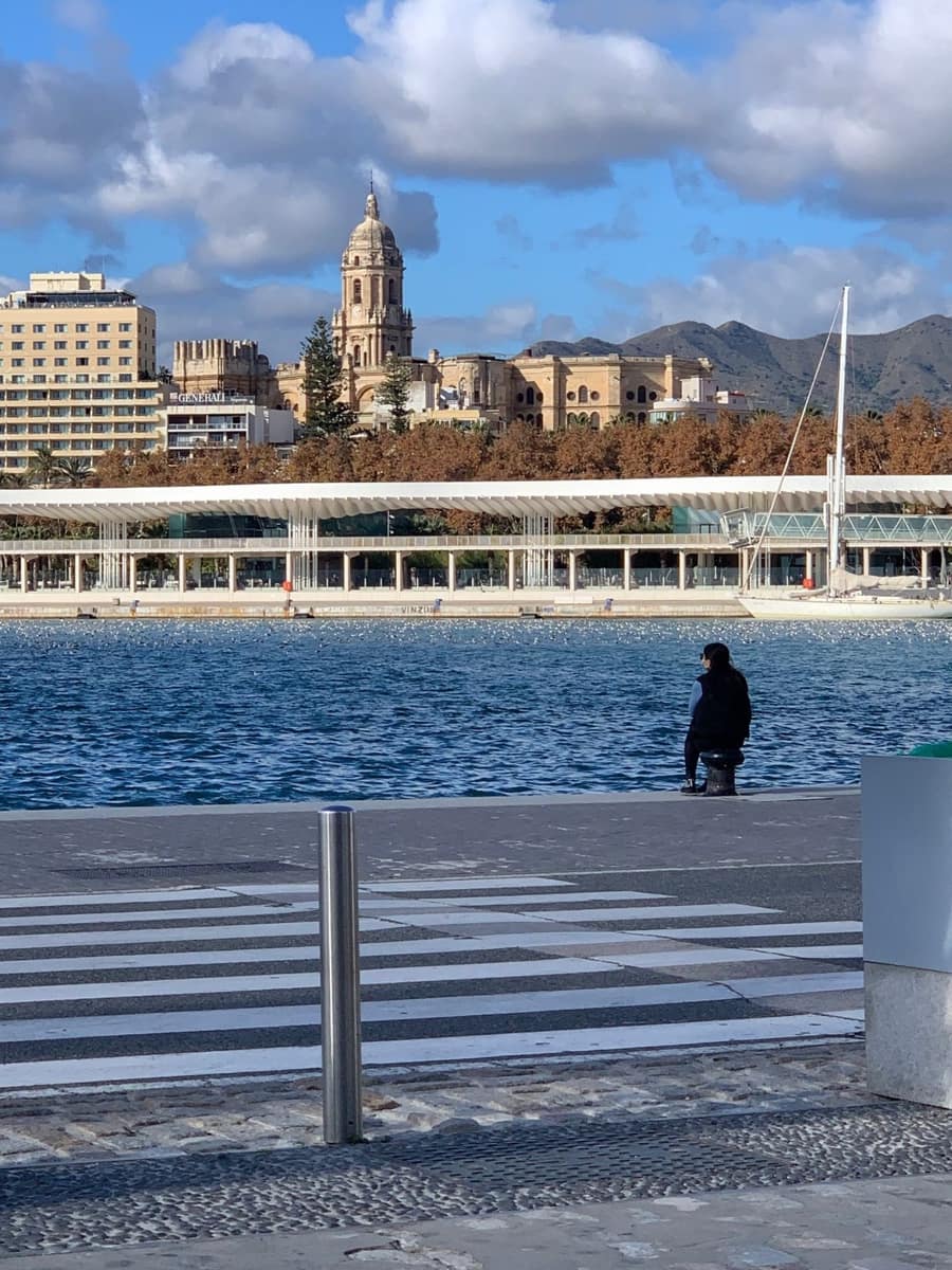 Grunde uden byggetilladelser til salg i Malaga by - € 14.000.000 (Ref: 8445624)