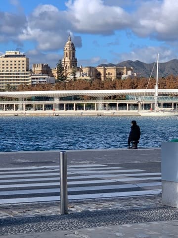 Grunde uden byggetilladelser til salg i Los Antonios, Málaga by - € 14.000.000 (Ref: 8445624)