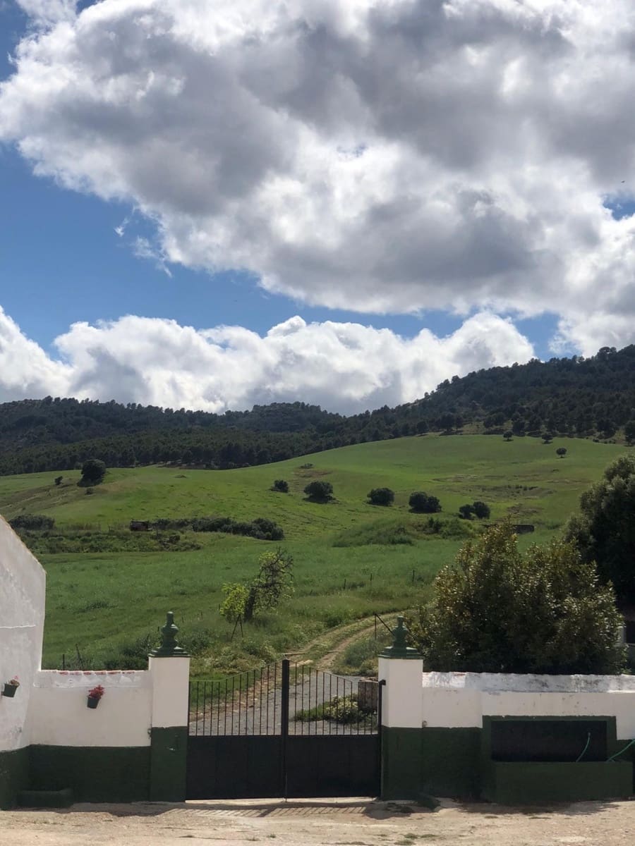 30 soveværelse Finca/Landehus til salg i Ardales - € 3.800.000 (Ref: 8459953)