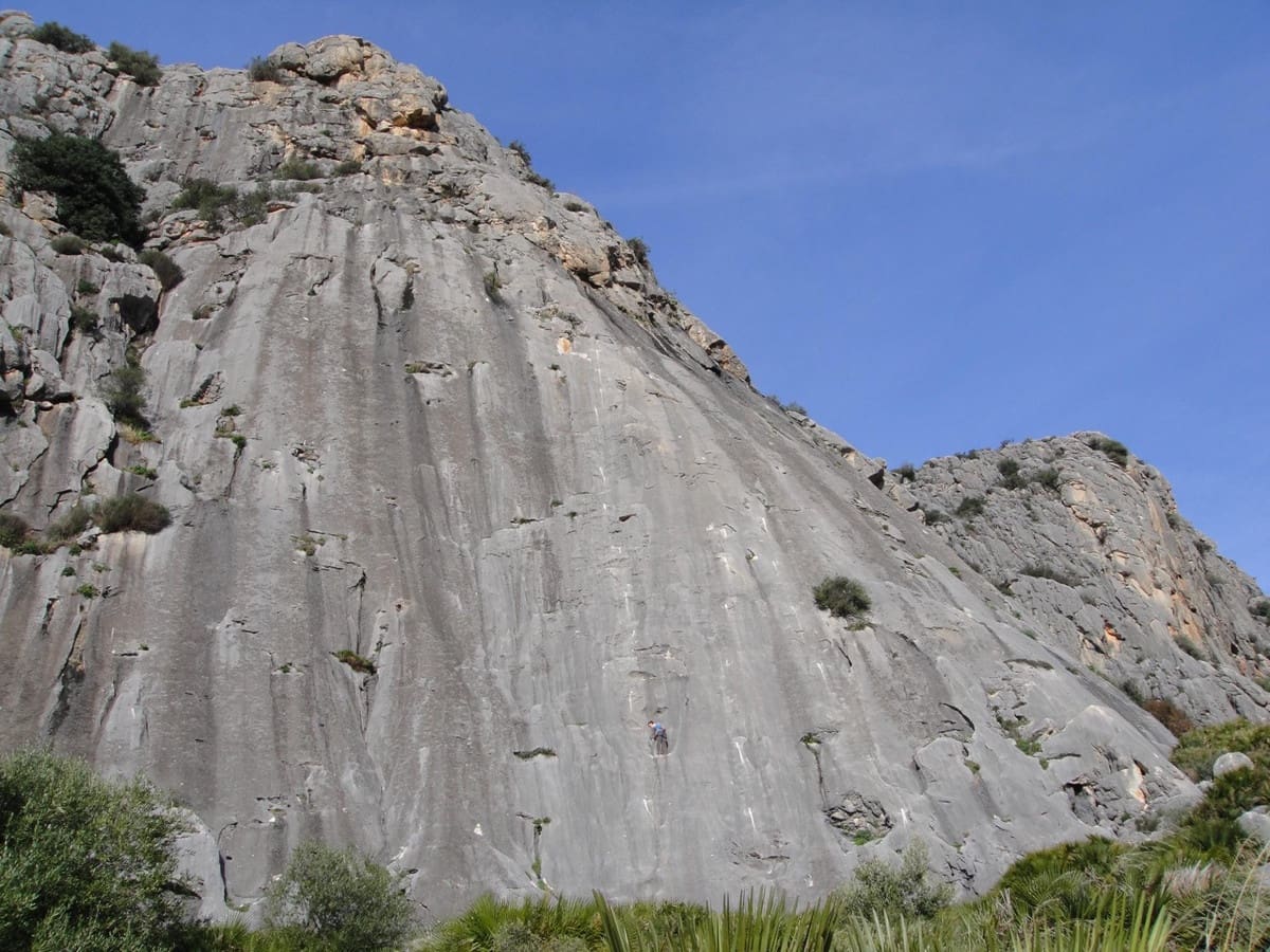 30 soveværelse Finca/Landehus til salg i Ardales - € 3.800.000 (Ref: 8459953)