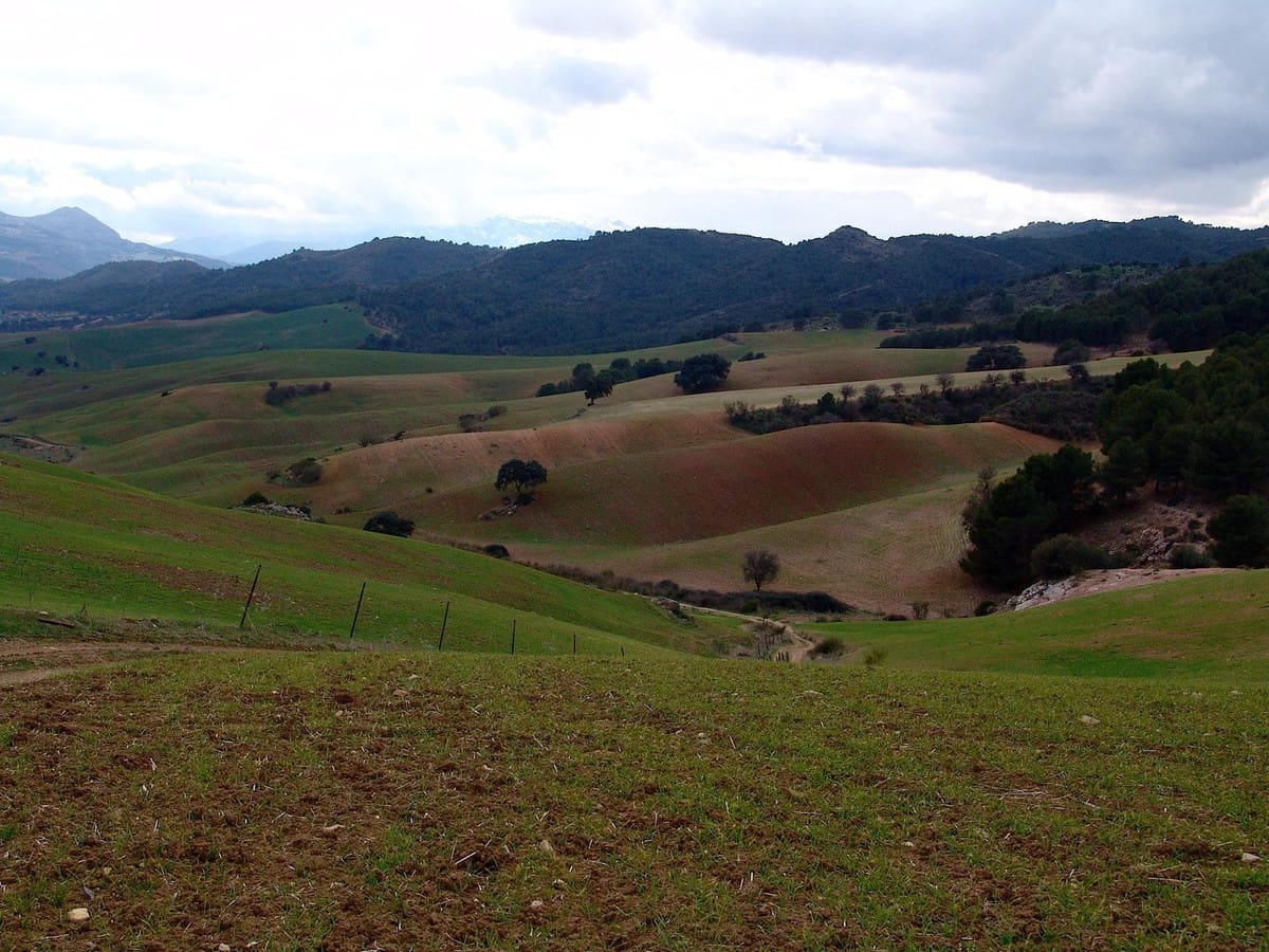 30 soveværelse Finca/Landehus til salg i Ardales - € 3.800.000 (Ref: 8459953)