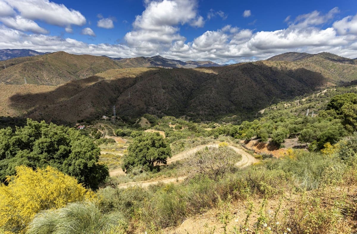 Terreno/Finca Rústica en Benahavís en venta - 5.068.000 € (Ref: 8460063)