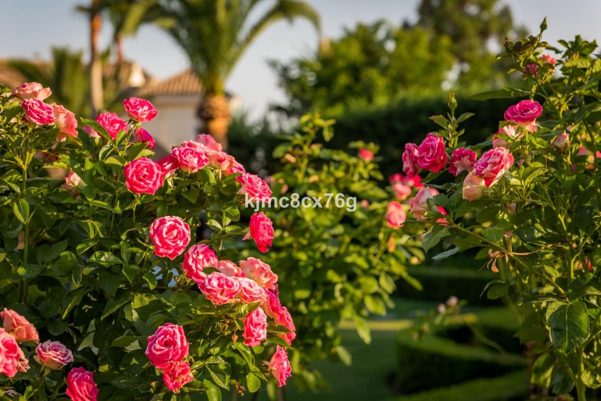 7 soverom Villa til salgs i Marbella med svømmebasseng garasje - € 9 500 000 (Ref: 8474944)