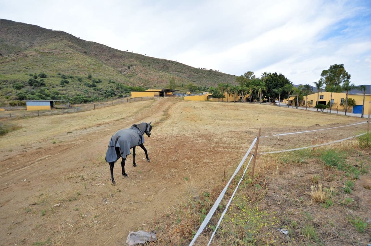 9 soverom Finca/Herregård til salgs i Mijas med svømmebasseng - € 3 150 000 (Ref: 8474956)