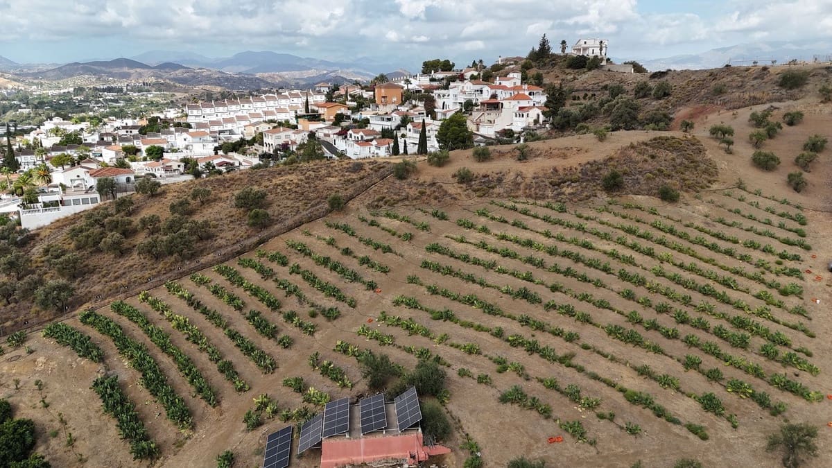 6 soveværelse Finca/Landehus til salg i Coin med swimmingpool - € 3.640.000 (Ref: 8529425)