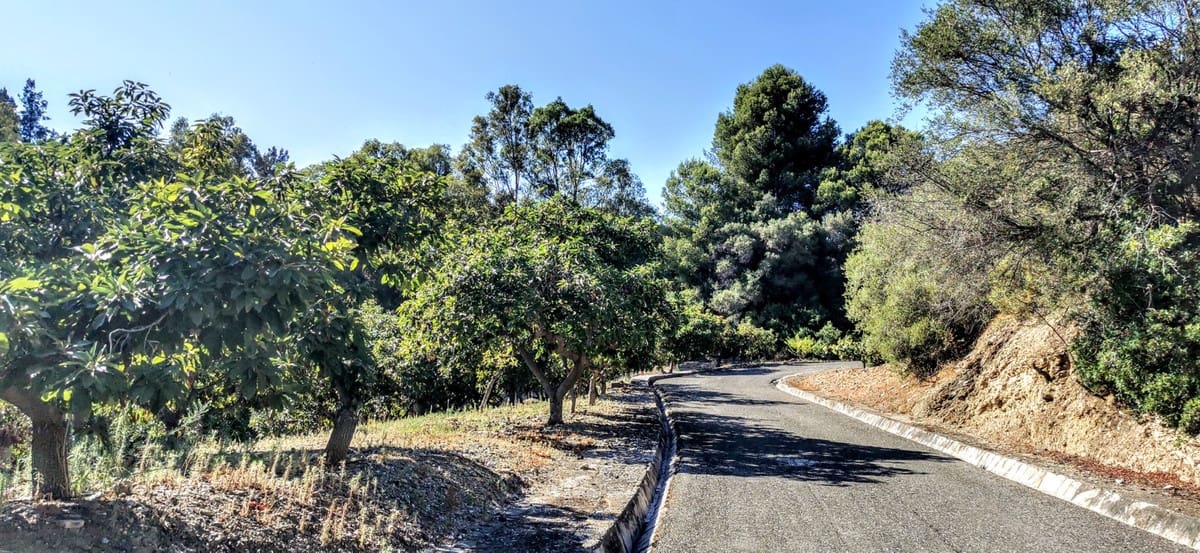 9 soverom Villa til salgs i Golden Mile med svømmebasseng garasje - € 10 500 000 (Ref: 8529540)