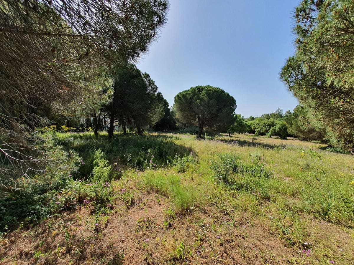 Grunde uden byggetilladelser til salg i Sotogrande - € 3.950.000 (Ref: 8712563)