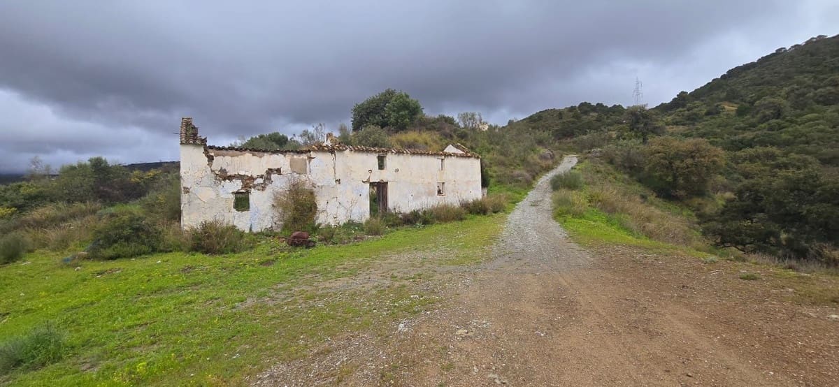 Terre non Aménagée à vendre à Benahavis - 3 900 000 € (Ref: 8896378)