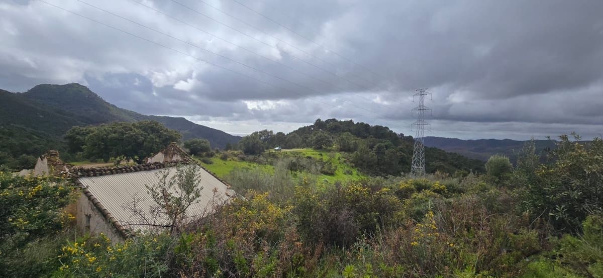 Terre non Aménagée à vendre à Benahavis - 3 900 000 € (Ref: 8896378)