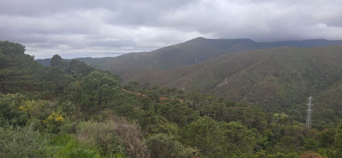 Terre non Aménagée à vendre à Benahavis - 3 900 000 € (Ref: 8896378)