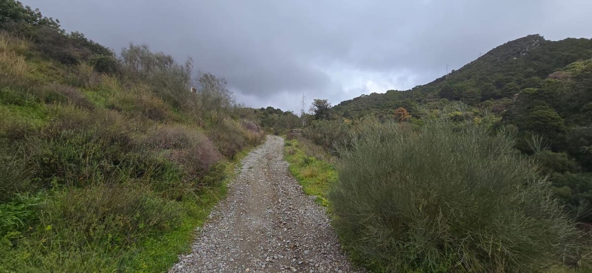 Terre non Aménagée à vendre à Benahavis - 3 900 000 € (Ref: 8896378)