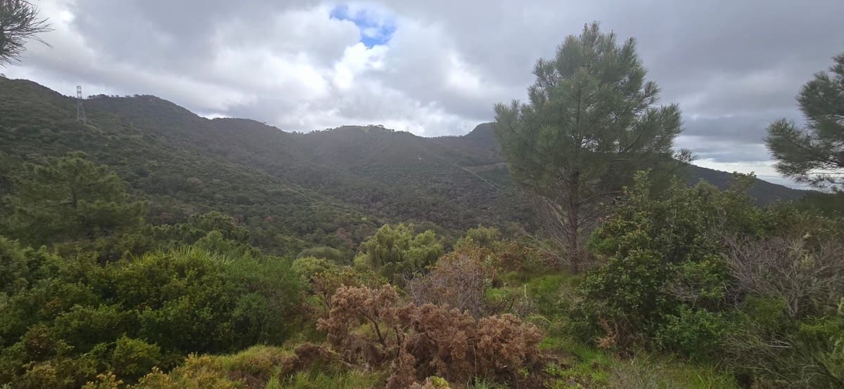 Terre non Aménagée à vendre à Benahavis - 3 900 000 € (Ref: 8896378)