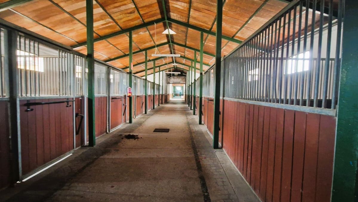 Ubebygd land til salgs i Estepona - € 12 300 000 (Ref: 8896413)