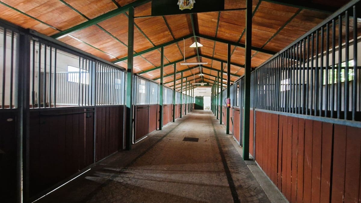 Ubebygd land til salgs i Estepona - € 12 300 000 (Ref: 8896413)