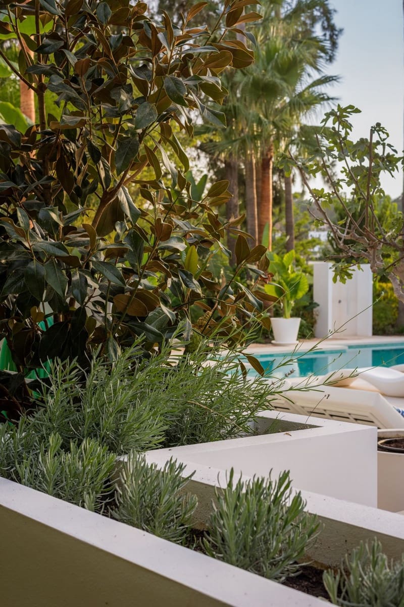 5 soverom Villa til salgs i Nueva Andalucia med svømmebasseng - € 7 300 000 (Ref: 8896415)