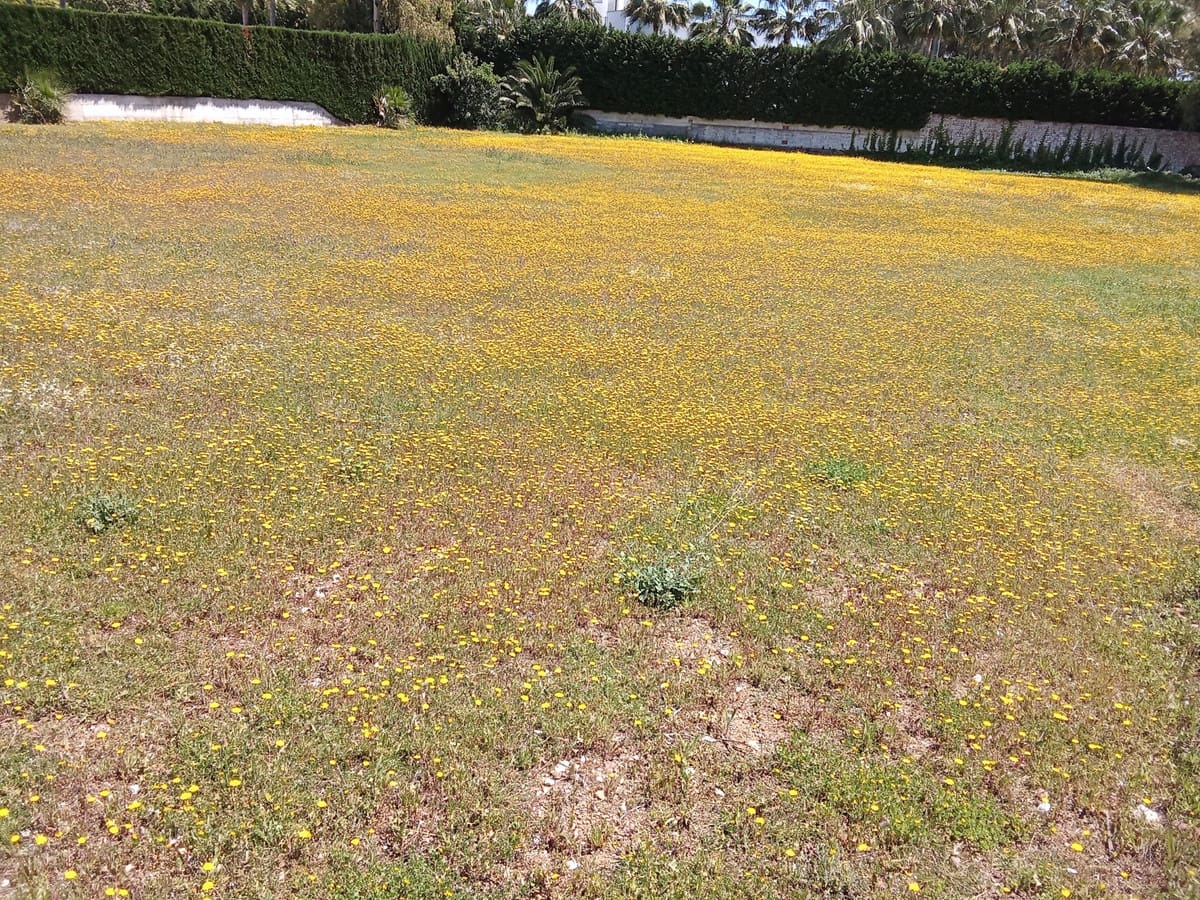 Rakentamaton maa myytävänä paikassa Guadalmina - 3 420 000 € (Ref: 8978966)