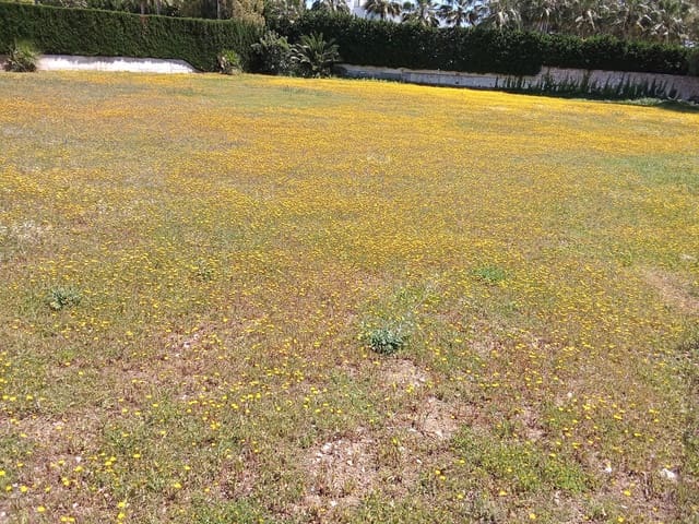 Undeveloped Land for sale in Guadalmina Baja, Marbella - € 3,420,000 (Ref: 8978966)