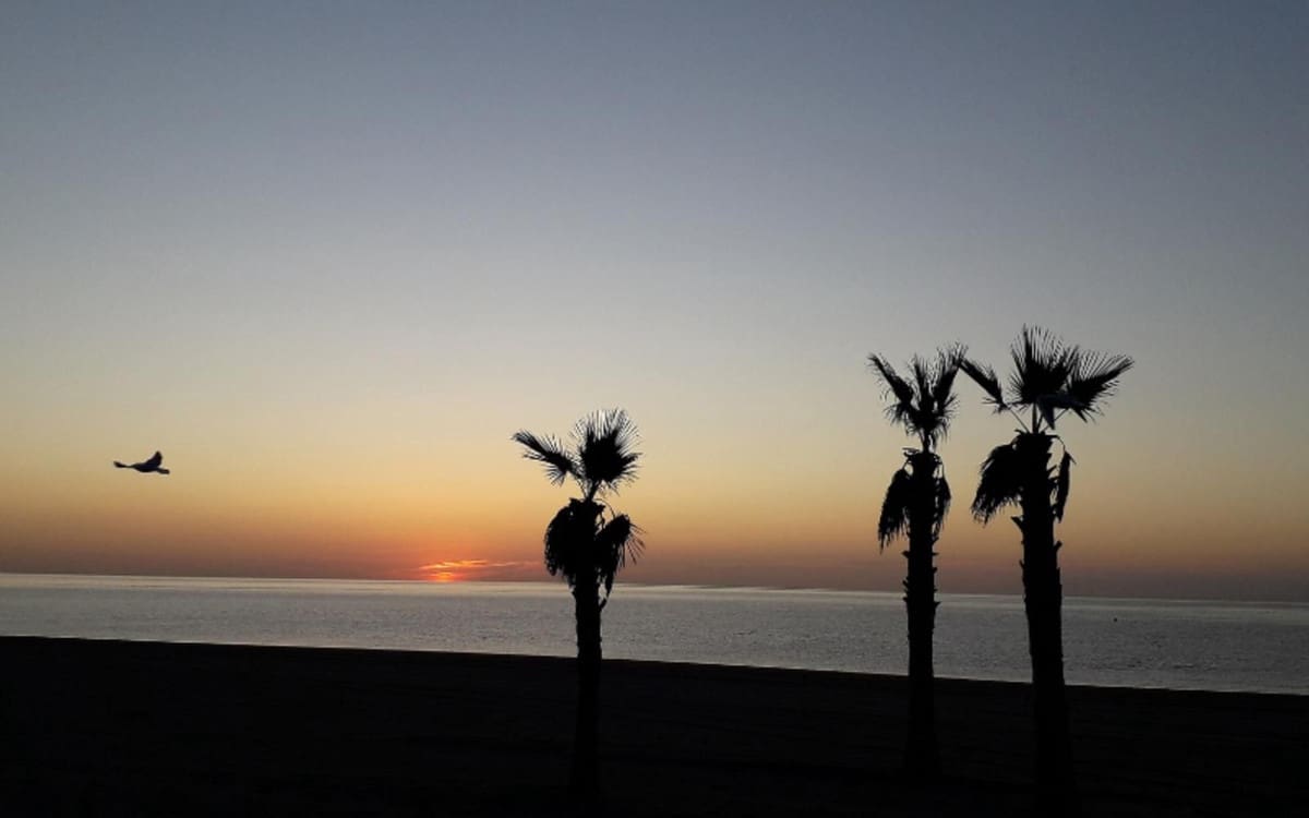 54 soveværelse Guesthouse/B & B til salg i Estepona - € 10.000.000 (Ref: 9038047)