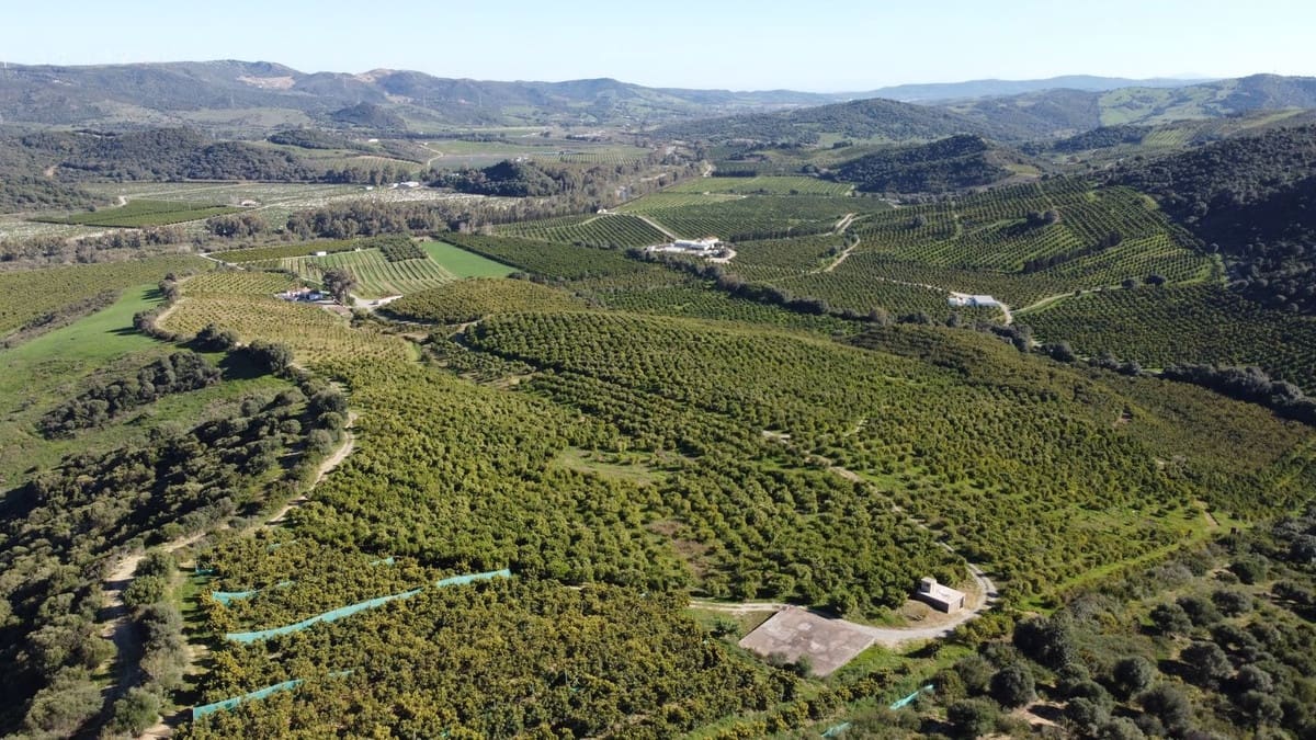 Undeveloped Land for sale in Casares - € 4,772,250 (Ref: 9038131)