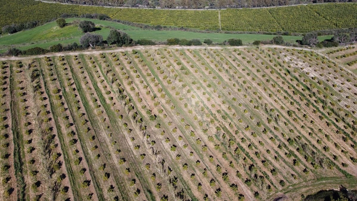 Undeveloped Land for sale in Casares - € 4,772,250 (Ref: 9038131)