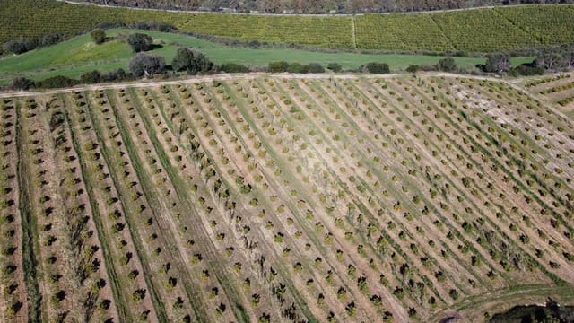 Undeveloped Land for sale in Casares Pueblo, Casares - € 4,772,250 (Ref: 9038131)