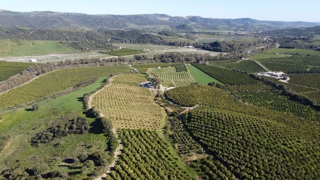 Undeveloped Land for sale in Casares Pueblo, Casares - € 4,772,250 (Ref: 9038131)