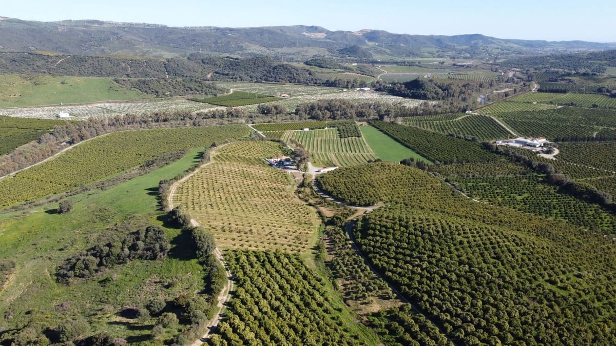 Undeveloped Land for sale in Casares - € 4,772,250 (Ref: 9038131)