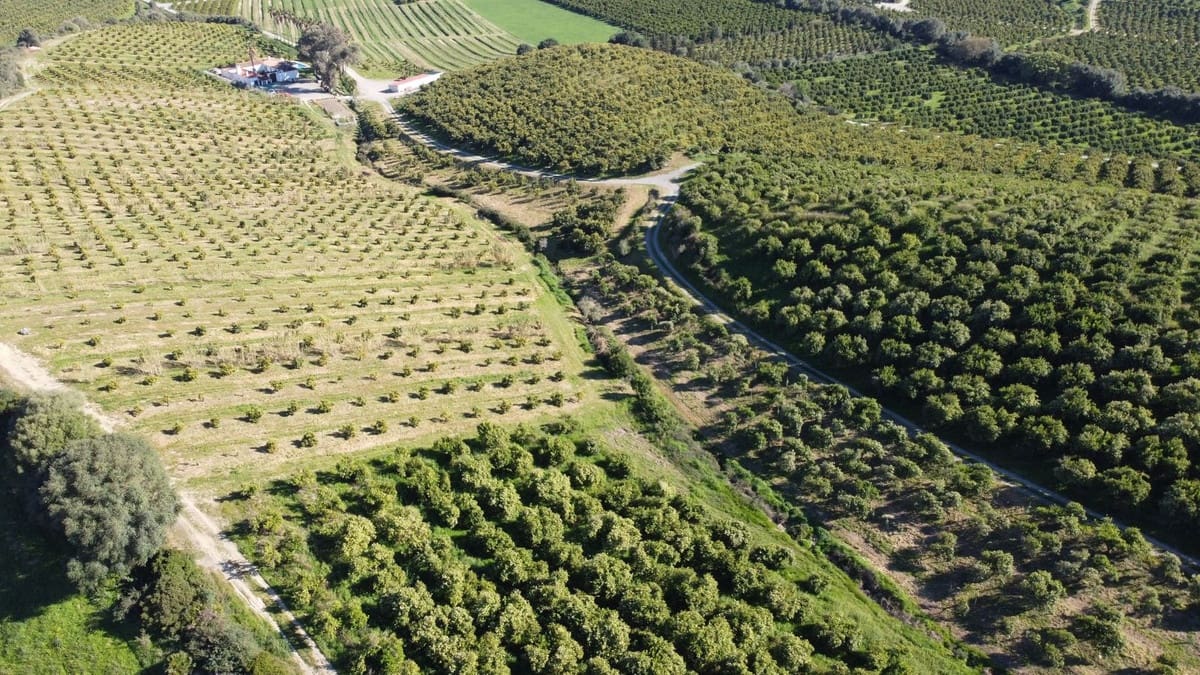 Undeveloped Land for sale in Casares - € 4,772,250 (Ref: 9038131)