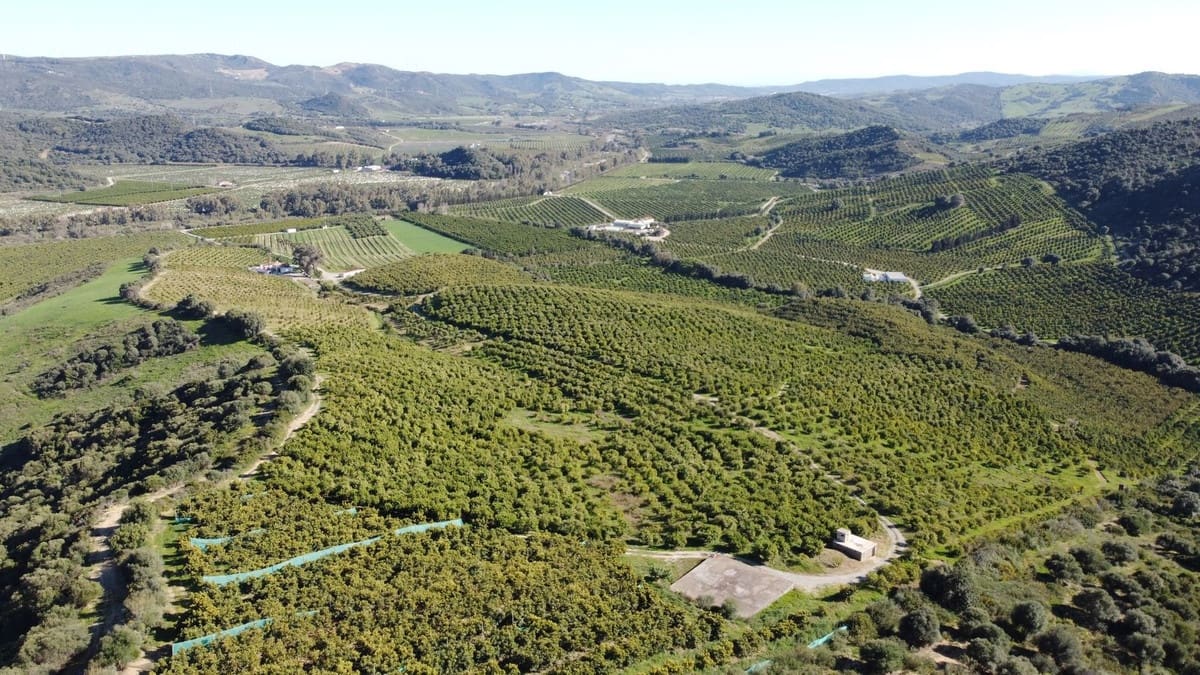 Undeveloped Land for sale in Casares - € 4,772,250 (Ref: 9038131)