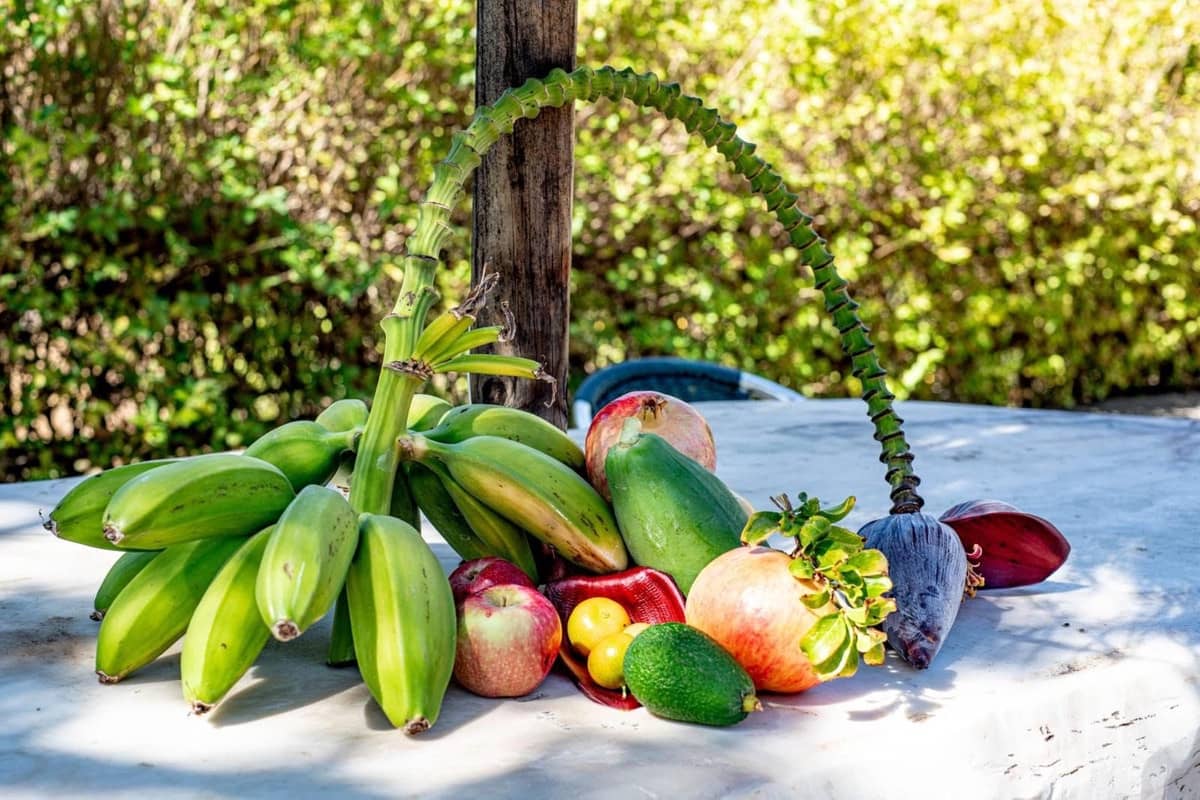 Ubebygd land til salgs i Estepona - € 3 500 000 (Ref: 9038160)