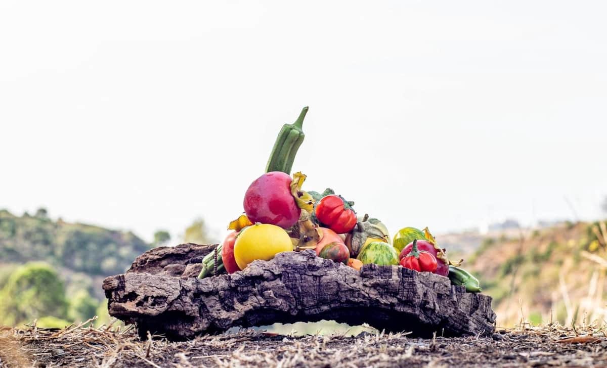 Ubebygd land til salgs i Estepona - € 3 500 000 (Ref: 9038160)