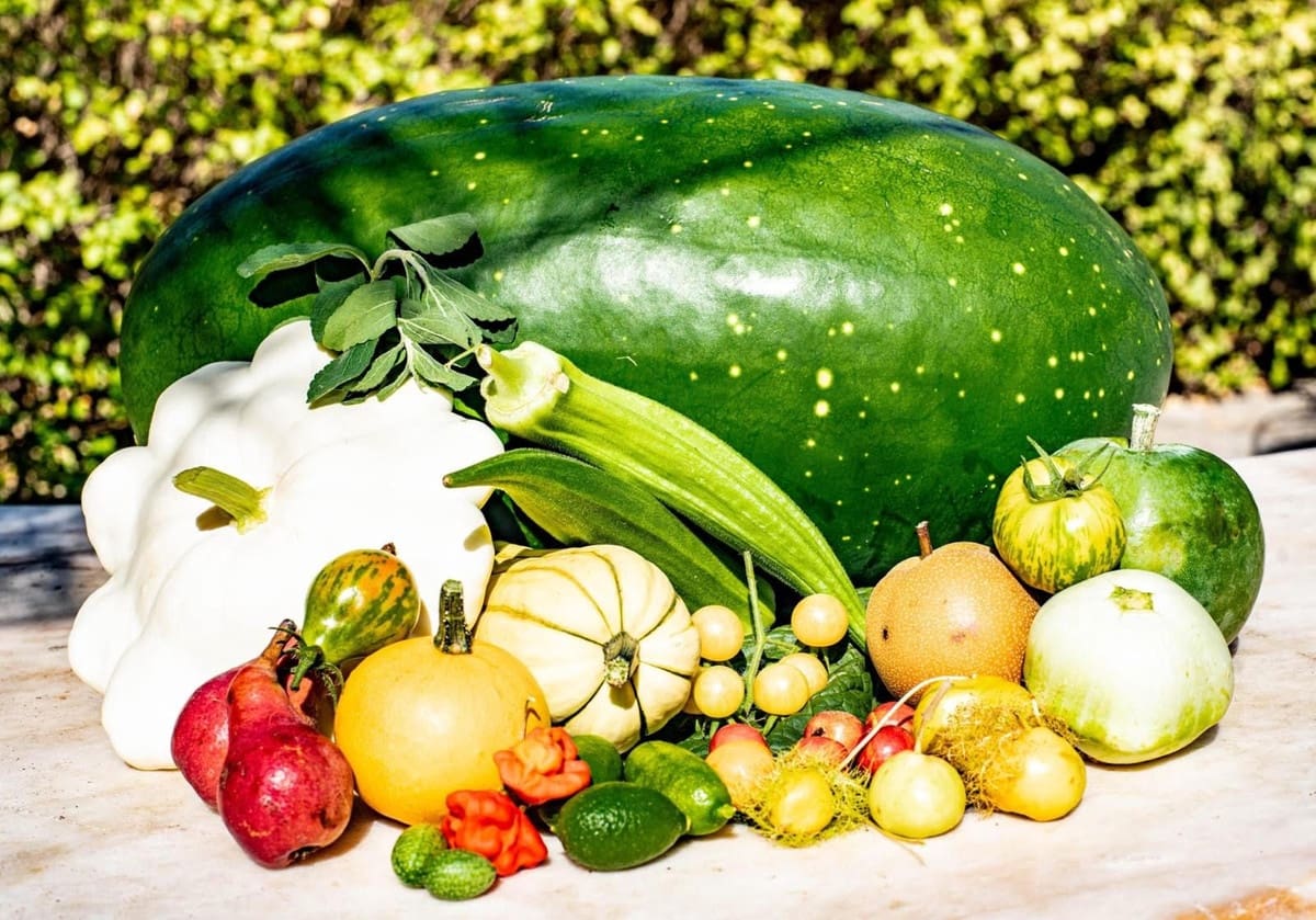 Ubebygd land til salgs i Estepona - € 3 500 000 (Ref: 9038160)